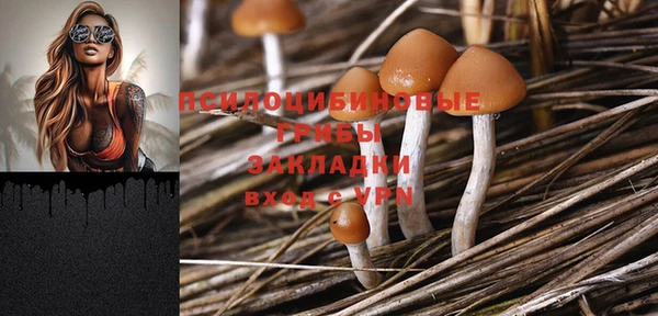 гидра Балабаново