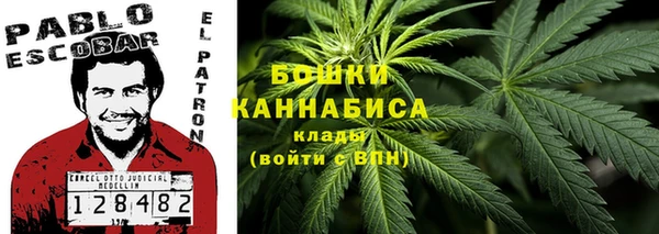 гидра Балабаново