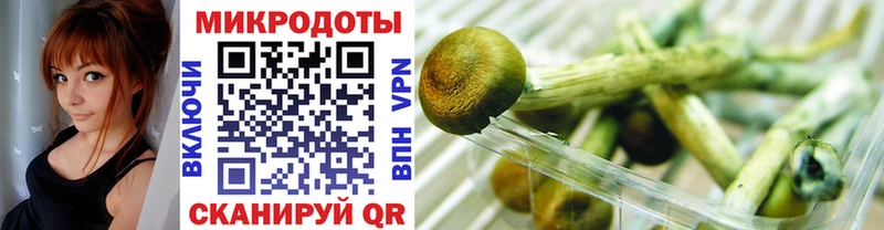 Псилоцибиновые грибы Magic Shrooms  Пересвет 