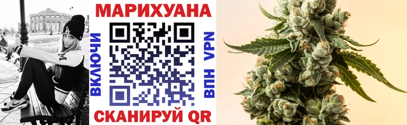 Канабис конопля Пересвет